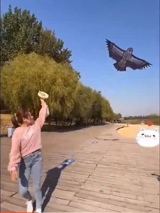 Eagle Kite Novelty Animal Kites with Free 30M Kite Line Outdoor Beach Garden Sport Games Saranggola