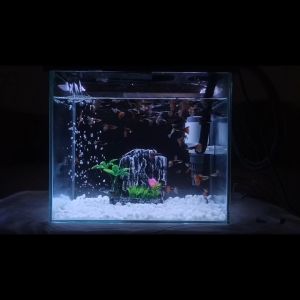 Dekorasi Aquarium Batu Buatan ( MODEL B ) Unik Hiasan Aquarium Tebing Batu Aquascape Tanaman Air Buatan Sintesis Ornamen Murah Aksesoris Akuarium TIPE B1