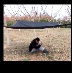 【Free Shipping】2PCS Anti UV 99% Sunshade Net Outdoor Garden Net Weather Net Outdoor Anti UV Shade For Plants Greenhouse Sunshade Net buy 1 take 1 sale