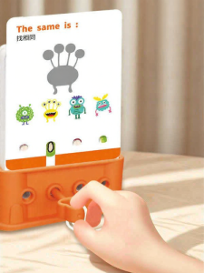 Logical Reasoning Early Education Toy Educational Game