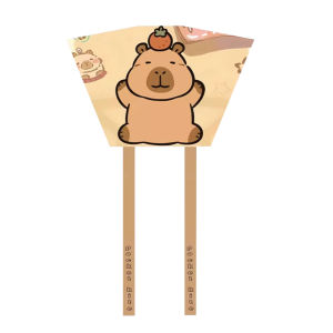 JBA | Easily Flown by Light Wind Small Pocket Kite for Kids