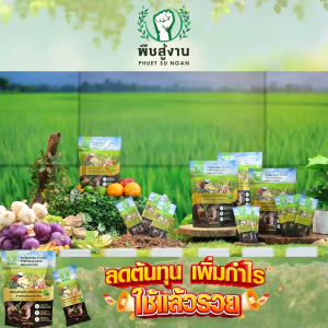 (ของแท้ พร้อมส่ง) พืชสู้งาน สารเพิ่มประสิทธิภาพดิน บำรุงพืช 3in1 สารอินทรีย์ ฟื้นฟูดิน บำรุงต้นไม้ ปลอดสารเคมี ชนิดผง (10 ซอง/แพค)