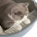 Open Cat Litter Box Thickening Kitty Sandbox Semi-enclosed High Side Splashproof Pet Bedpans with Litter Scoop Cat Supplies. 