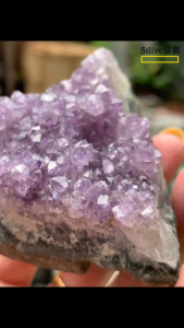 kristal 紫晶花朵形🌺 原矿紫晶 Raw Amethyst #紫晶 #amethyst #花朵 #有钱花 #新山水晶 Bentuk Bunga Amethyst 🌺 Amethyst Asli (Raw Amethyst) #amethyst #kristalungu #bunga #rezeki #kristalJohorBahru