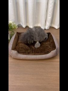 Dog Bed Cat Bed Cushion Separation Detachable And Washable PP Cotton XXL100CM Pet Bed