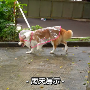 Dog Raincoat Windproof And Waterproof Transparent Raincoat Suitable For Various Breeds Of Dogs