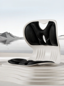 BENBO Lumbar support seat cushion and backrest
