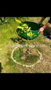 ขอบกั้นดิน 10/15/20*1000ซม ที่กั้นดินไหล ที่กั้นดิน ที่แบ่งดิน จัดสวน กั้นหญ้าและหิน (Border Curb) ขอบกั้นหญ้าและดิน ไม่จําเป็น ต้องใช้หมุด