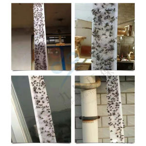 คำสำคัญ: กาวดักแมลงวัน, สามารถักแมลงวันได้มากปลอดภัยไร้สารพิษ, กาวทรงพลัง, เหนียวหนึบติดทันที, แมลงวันจะตายหมด, ยาฆ่าแมลงวัน, สารเหยื่อล่อ, ยากำจัดแมลงวัน, กำจัดแมลงวัน, กับดักแมลงวัน, แพ็คละ, 10 แผ่น, 580mm*50mm