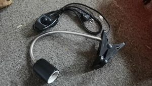 CoralCove หลอดไฟ ขั้วหลอดไฟเซรามิค พร้อมหลอดไฟความร้อนสัตว์ 2 in 1 กกไฟแมว ไฟกกนก นกแก้ว ไฟกกไก่ ให้ความอบอุ่นสัตว์ รุ่นไร้แสง