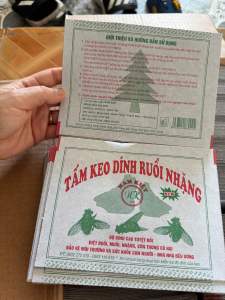 50 MIẾNG KEO DÍNH RUỒI SIÊU DÍNH