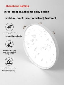 Changhong | Simple Thin Three-Proof LED Ceiling Light