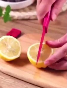 MACAROON Lemon Squeezer | Fruit Juicer |  Stainless Steel Manual Hand Press Squeezer | Multi-function | Citrus Juicer