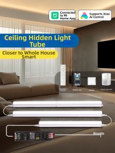 LAISILIMANWEI | Smart LED Strip For Ceiling Hidden Light Decoration