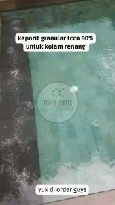 Kaporit Granular - 1 Kg - 90% Klorin Granular - Pembersih Kolam Renang - Pembersih Saluran Air