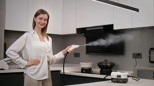 COD 2500W 220V Handheld Steam Cleaner Automatic Mobile Cleaning Machine Home