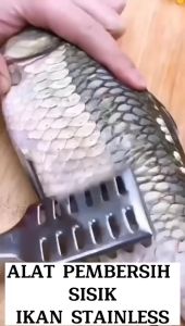 Alat Pembersih Pengupas Sisik Ikan Stainless Steel Anti Karat Fish Scaler Scarper Serutan Sisik Ikan Skin Remover - HOMIA