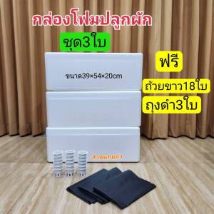 3ใบ+ถ้วยขาว+ถุงดำ/กล่องโฟมปลูกผักไฮโดรโปรนิกส์  ลังโฟม ขนาด 10กก.ความจุ 24ลิตร