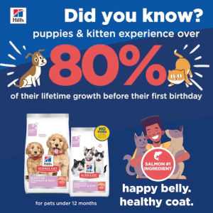 Hills Science Diet Kitten Sensitive Stomach & Skin Salmon & Brown Rice