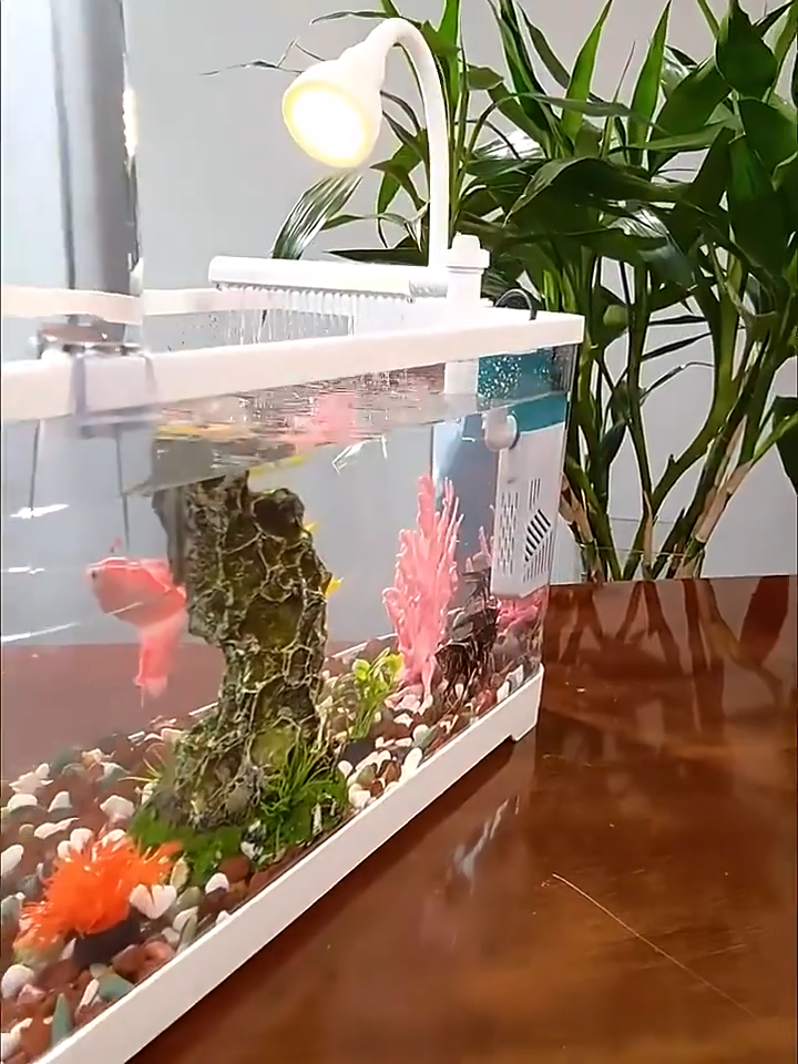 Fish Tank Desktop 1.55 Gallon Acrylic Aquarium with Air Pump LED Light for Betta Fish Starter Kit