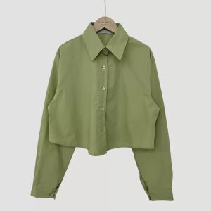 Áo Sơ Mi Cổ Điển Một Nút Áo Sơ Mi Dài Tay Dáng Rộng Màu Trơn Không Có Thương Hiệu Phong Cách Đường Phố Mùa Xuân Dành Cho Nữ