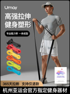 Resistance Band Fitness Accessory