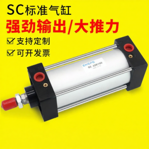 PAMPAS | Standard Small High Power Pneumatic Cylinder