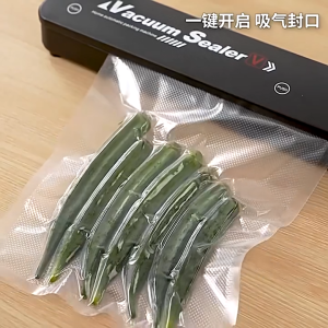 TaffHOME Alat Vakum Makanan Frozen Food Homemade Basah dan Kering Vacuum Sealer Machine + 10 Plastik