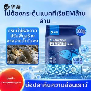 HUAXU | Fermentation Bacteria Composite Bacillus Probiotics Original Seed Liquid