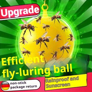 Sticky Flexible Board Mosquito And Fruit Trap for Citrus Pests including Flies Hoverflies Gnats - Garden Protection