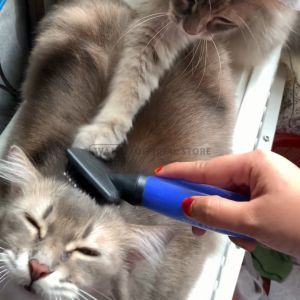 Wahl Cat Small Nylon Slicker Brush - Sisir Kucing Pembersih Bulu Alat Grooming Sisir Perawatan Kucing