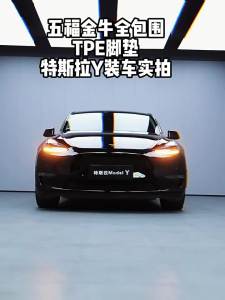 WUFUJINNIU | Đệm Lót Sàn Ô Tô Toàn Bộ TPE
