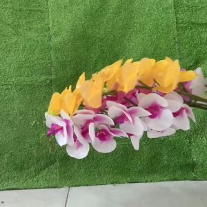 Lan cao su (9 BÔNG THÂN ĐỐM) .cánh ướt. hàng cao cấp lᴏại 1 dùng cắm bình trang trí nhà cửa