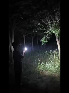 For Makita 18V Li-ion Battery LED Work Light Flashlight Portable Emergency Flood Lamp Camping Lamp