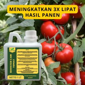 Pupuk Semprot Pelebat TOMAT Pupuk Pelebat TOMAT Pupuk Penyubur TOMAT ZPT