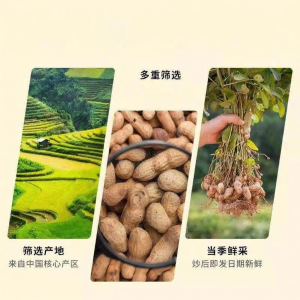 Five Spice and Garlic Flavor Roasted Peanuts 5jin