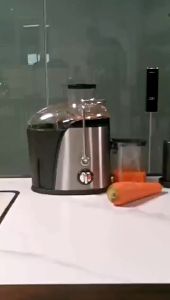 E-HOME SLOW JUICER FRESH FRUIT MULTIFUNGSI 300ML BLENDER SARI BUAH TANPA AMPAS
