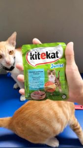 70g Kitekat Cat Cats Wet Food Pouch All Stages Adult Kitten Junior Pet Balanced Nutrition Meal