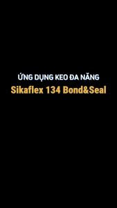 Sikaflex 134 Bond&Seal – Trám vết nứt cho tường trong tường ngoài mái lợp