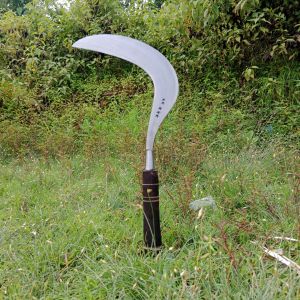 Arit rumput bintang 5 asli madura