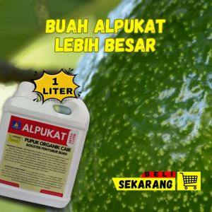 Pupuk Alpukat Cepat Berbuah Pupuk Pelebat Buah Alpukat Pupuk Penyubur Pohon Alpukat Booster Alpukat