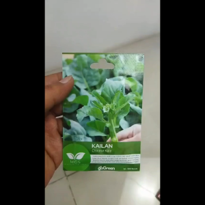 Benih Biji Bibit Kailan Chinese Kale Mix Garden Seed - 1 Pcs