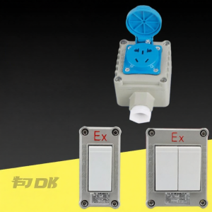 HAOJIJI | Explosion-Proof Wall Socket 220V 10A