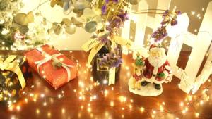 LED Firecracker String Lights Remote Control Halloween Garland EU/US DC Power Fairy Light for Wedding Party Christmas Decoration