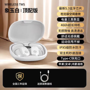 Long-Lasting Sports Bluetooth Earphones Wireless Vivos18 X100Pro Hanging Ear Type for Running And Gym Activities with Mic