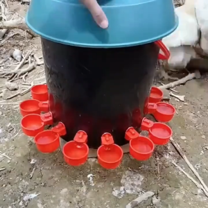 40pcs Automatic use of plastic bird and chickens water dispenser tools quail and pigeon water dispensers drinking bowls for poultry farms Chickens Water Cups