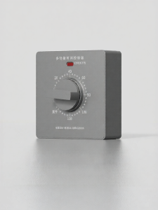 EUROB | Automatic Timer Control 220V
