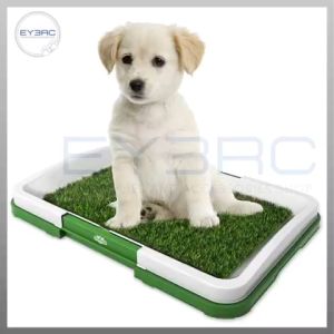 Indoor Pet Potty Trainer