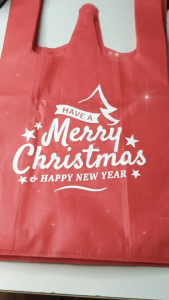 Christmas Ecobag Perfect Gift Bag for Easy Wrap