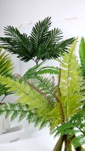 Daun Palm Duri & Dekorasi Hiasan Rumah